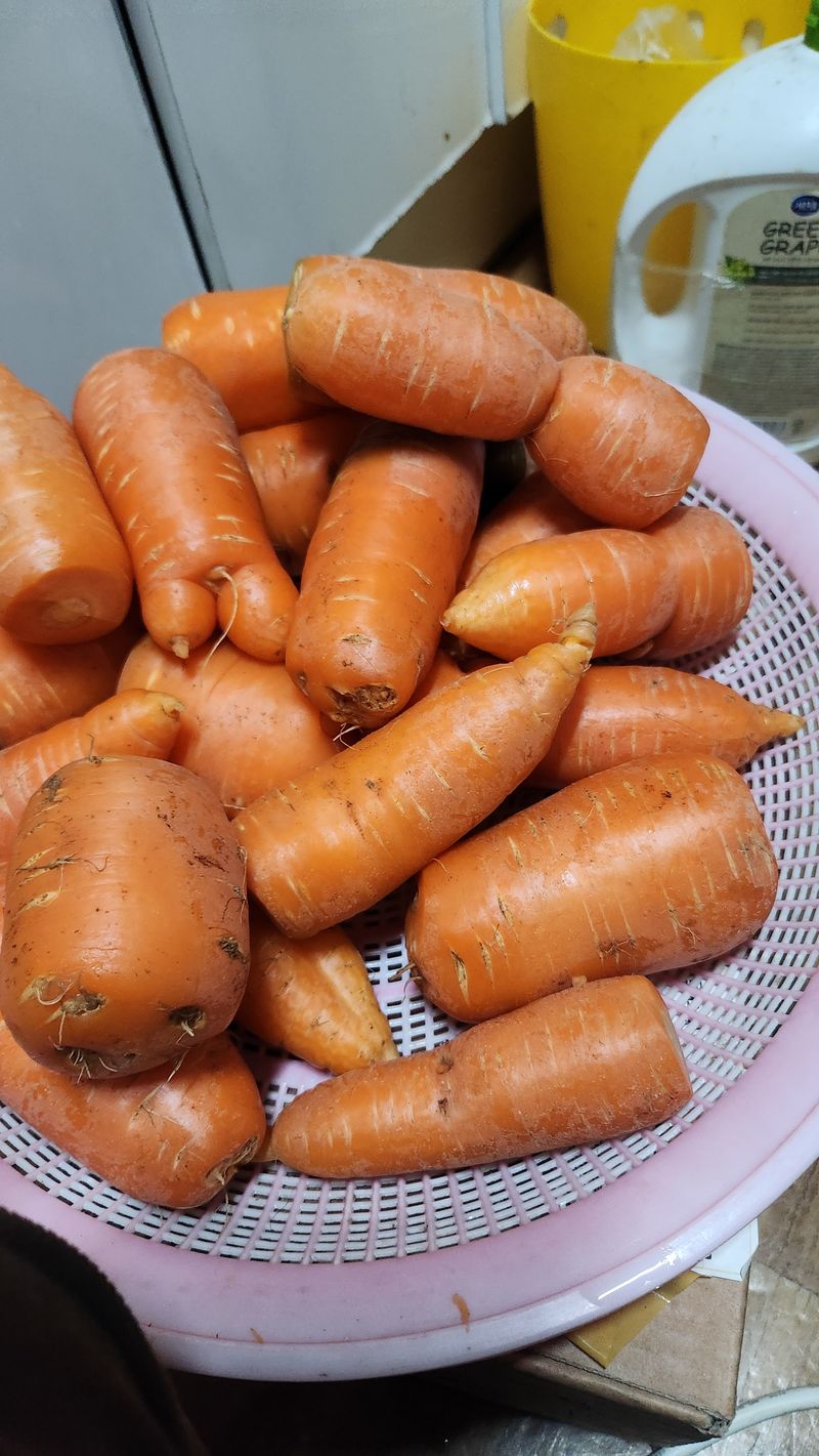 사과6329님의 장터 구매 후기 썸네일