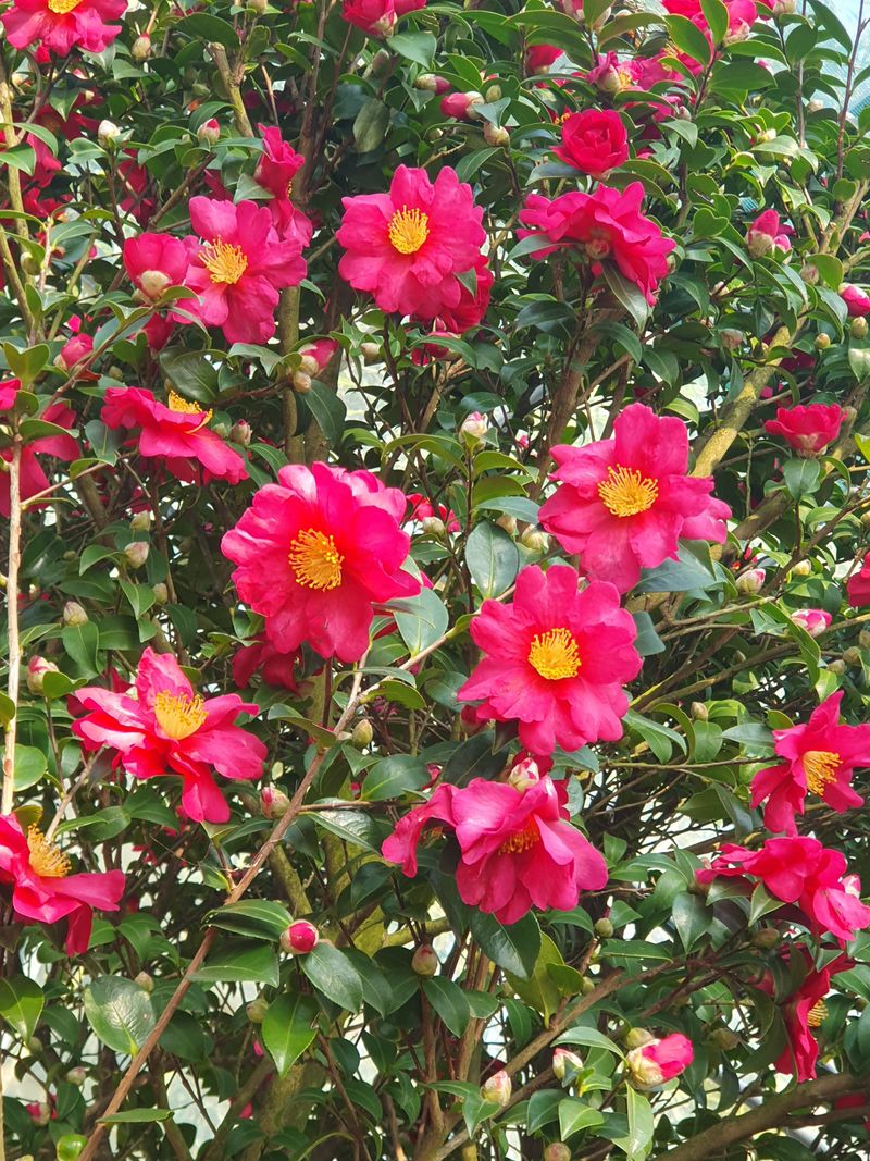 왕초보농부농님의 장터 구매 후기 썸네일