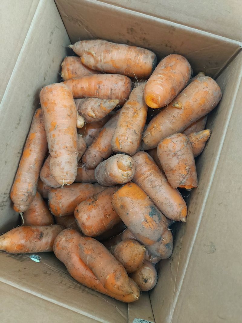 동행님의 장터 구매 후기 썸네일