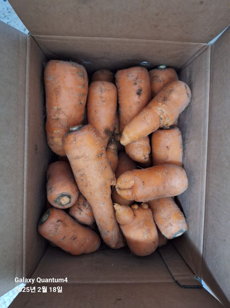 김용환님의 장터 구매 후기 썸네일