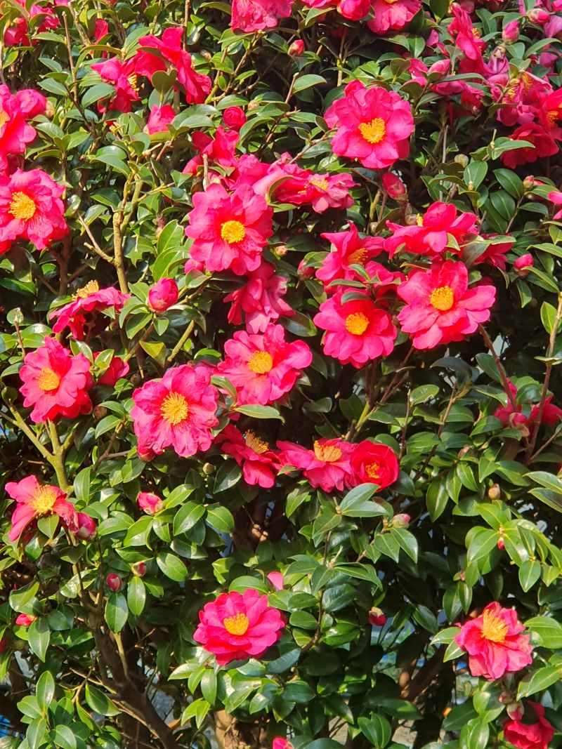 왕초보농부농님의 장터 구매 후기 썸네일