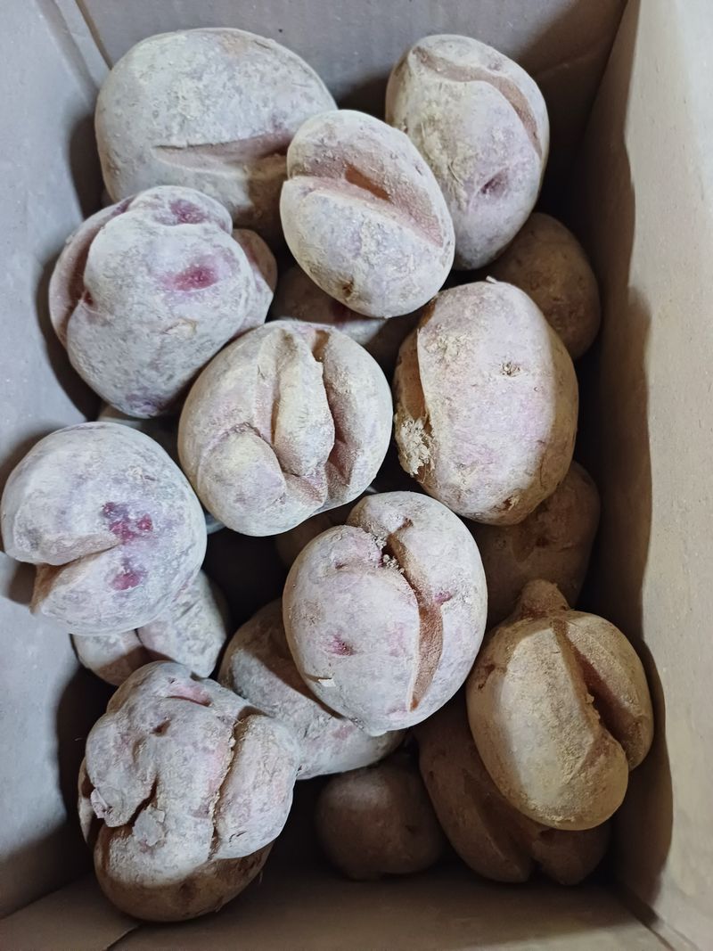 유영옥님의 장터 구매 후기 썸네일