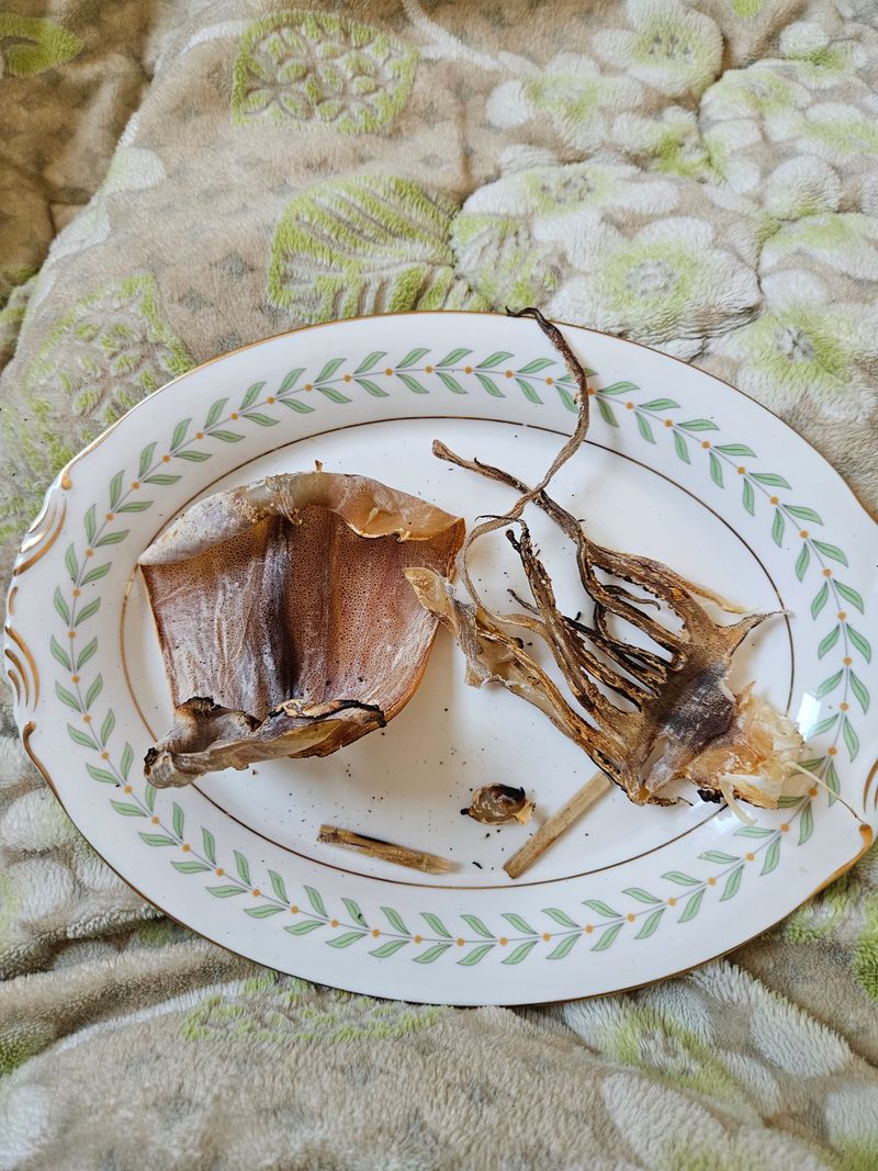 정정연님의 장터 구매 후기 썸네일