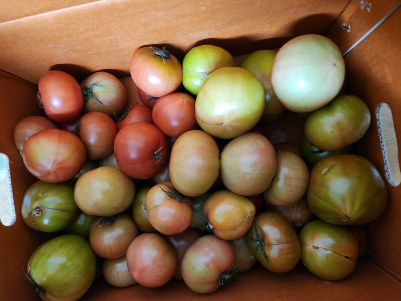 이창우님의 장터 구매 후기 썸네일