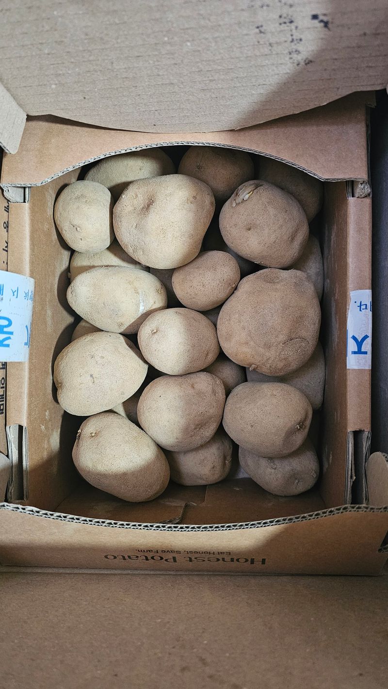 홍인기님의 장터 구매 후기 썸네일