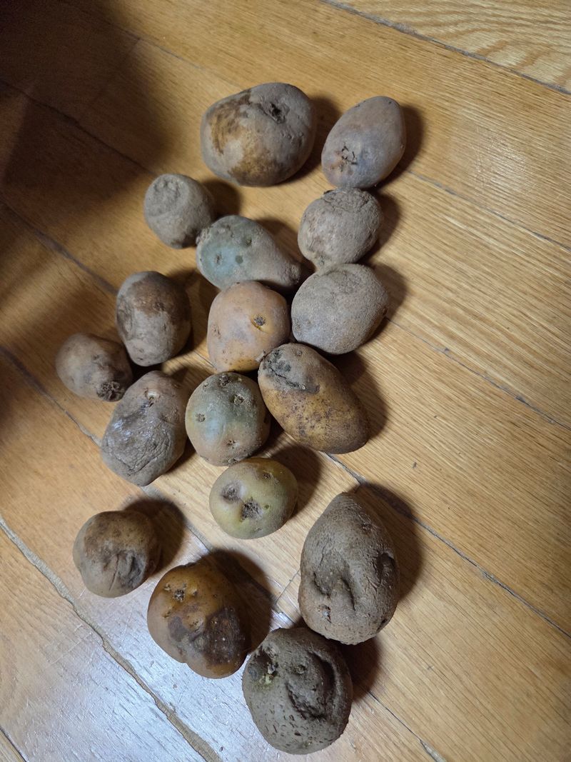 정민지호맘님의 장터 구매 후기 썸네일