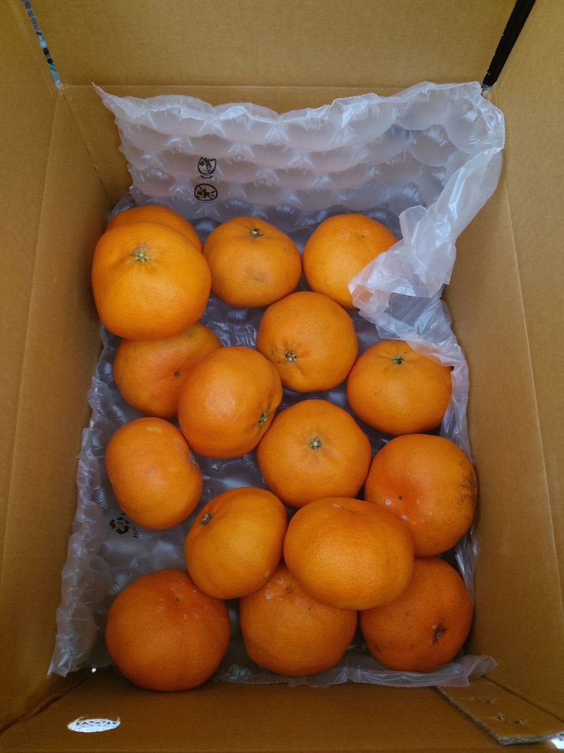 김재영님의 장터 구매 후기 썸네일