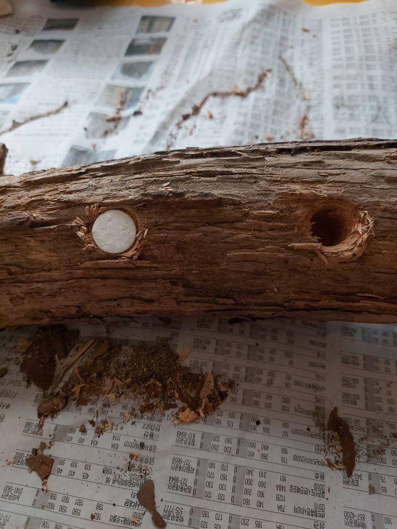 이은연님의 장터 구매 후기 썸네일