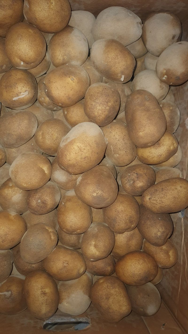 오다가다님의 장터 구매 후기 썸네일