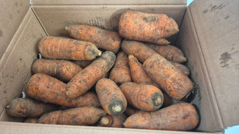 김미꽃님의 장터 구매 후기 썸네일