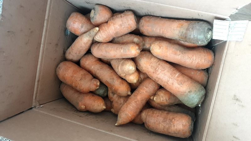 선샌님님의 장터 구매 후기 썸네일