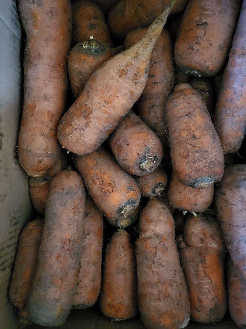 예천댁이님의 장터 구매 후기 썸네일