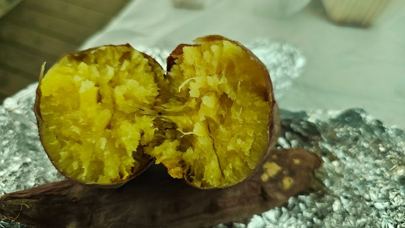 이동순님의 장터 구매 후기 썸네일