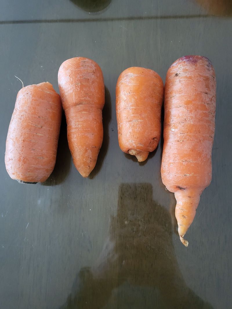 둥근달신석기시대님의 장터 구매 후기 썸네일