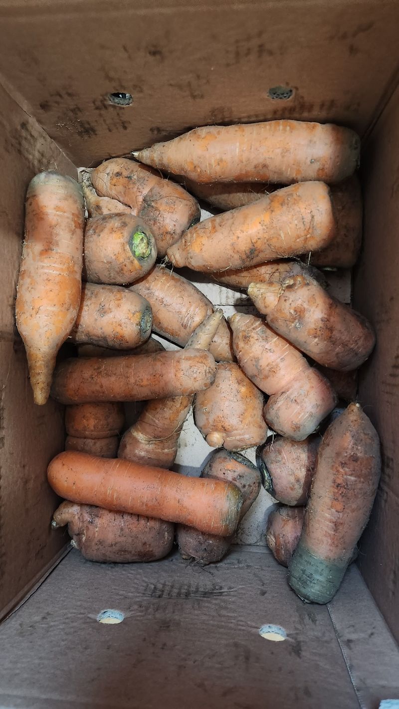 박종수님의 장터 구매 후기 썸네일