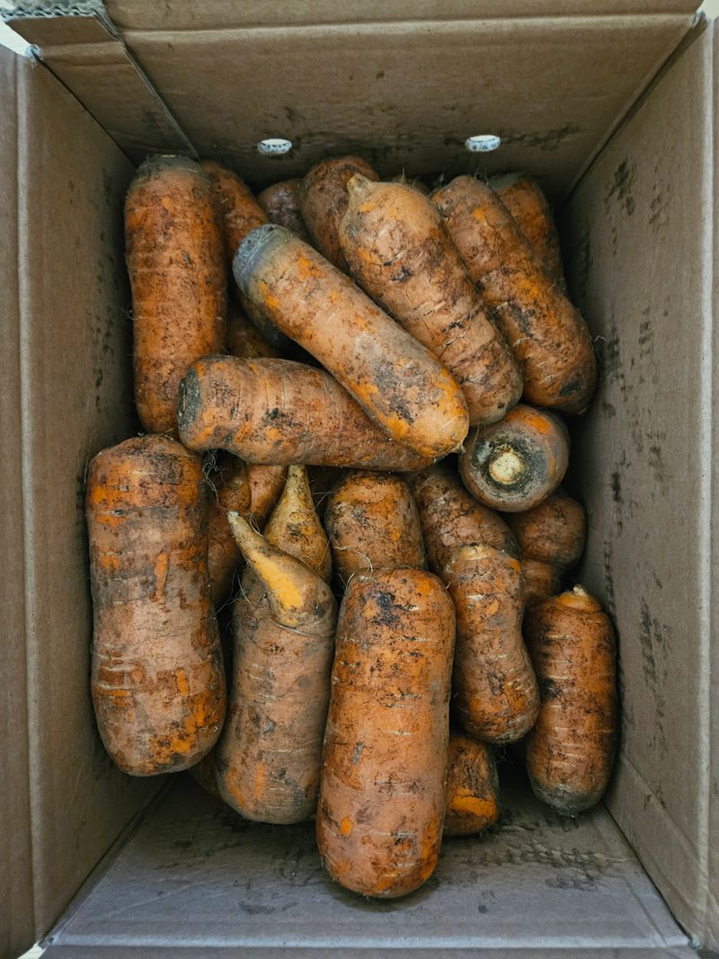 정미소님의 장터 구매 후기 썸네일