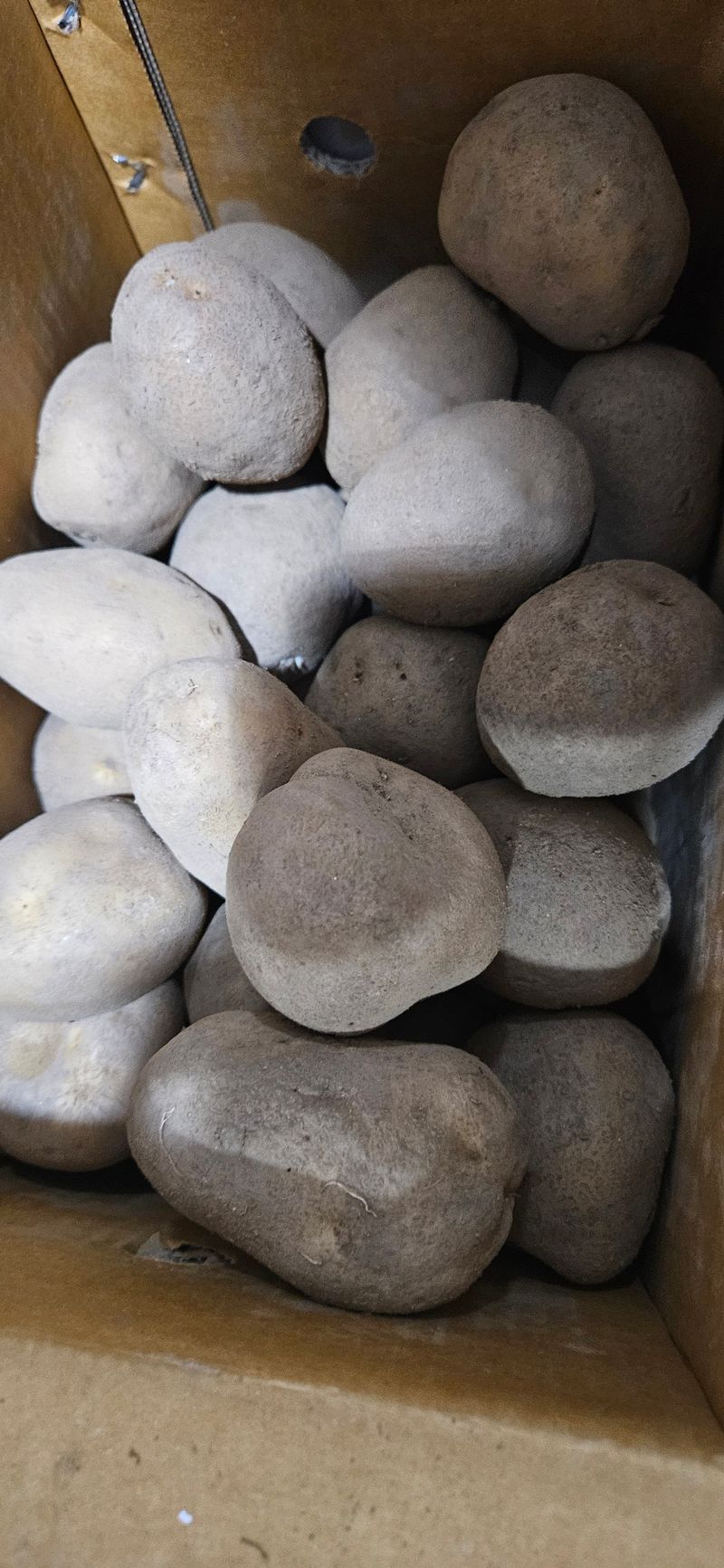 춘천(세모돌이)님의 장터 구매 후기 썸네일