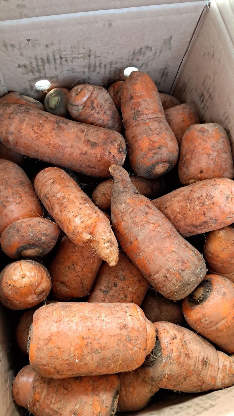 bpjh9173님의 장터 구매 후기 썸네일