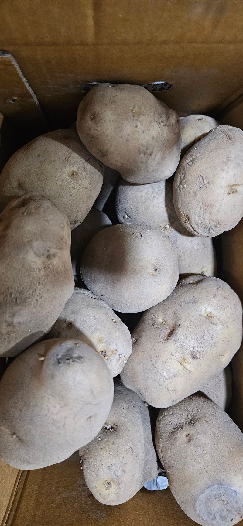 춘천(세모돌이)님의 장터 구매 후기 썸네일