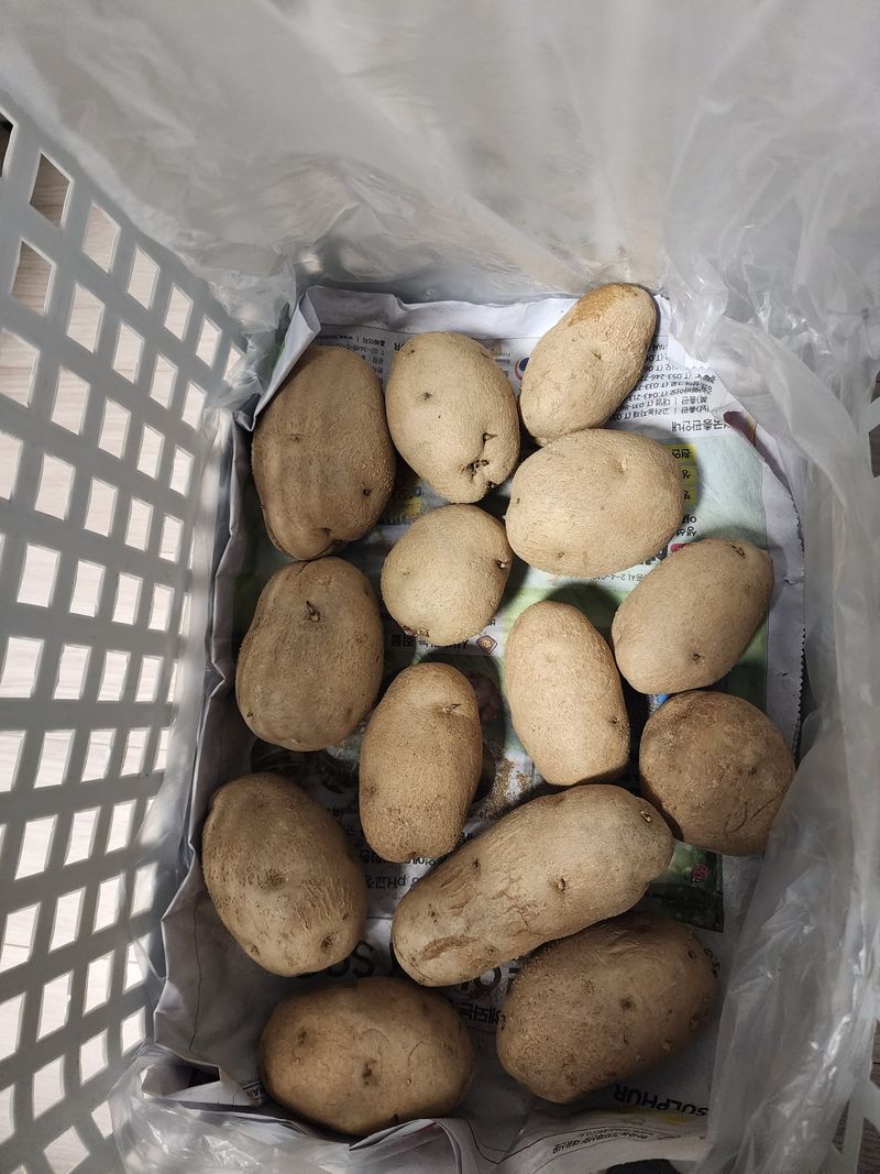 그린팜님의 장터 구매 후기 썸네일