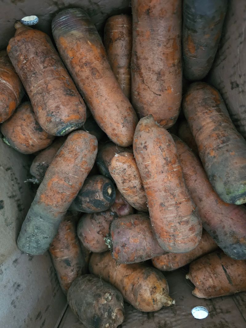 복숭아20189님의 장터 구매 후기 썸네일