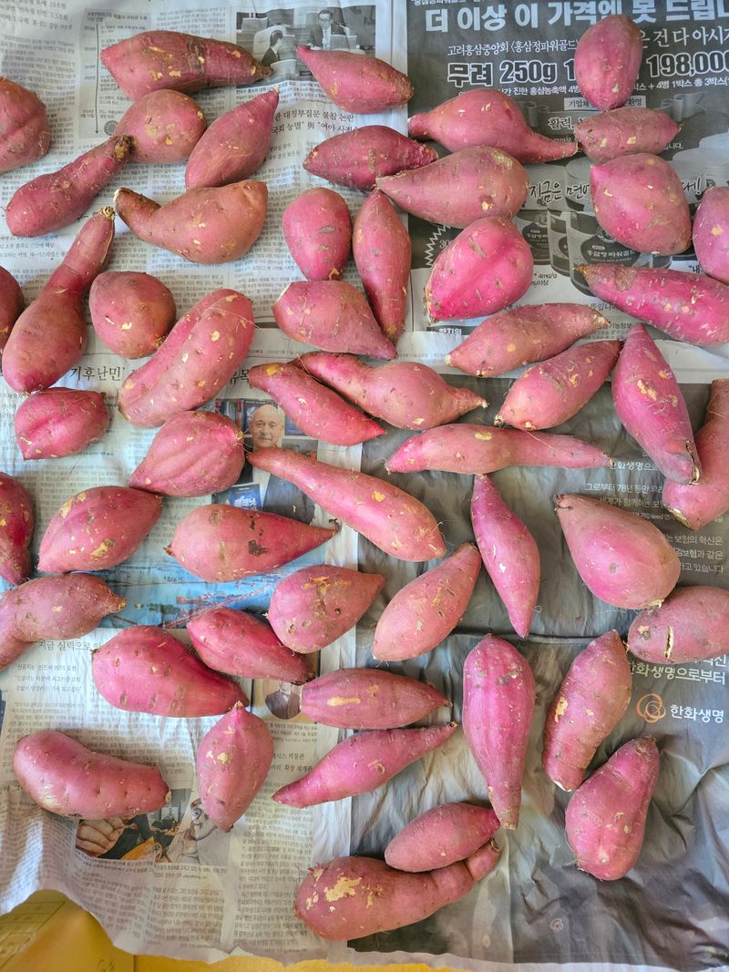 이진기님의 장터 구매 후기 썸네일