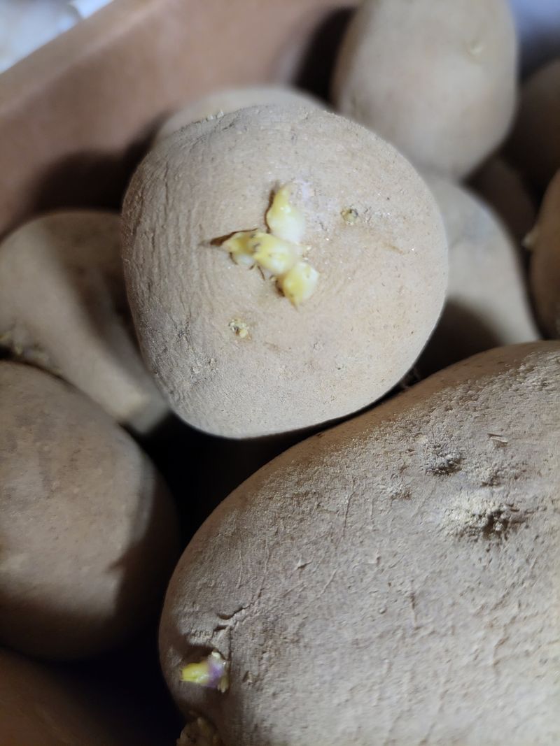 정택님의 장터 구매 후기 썸네일