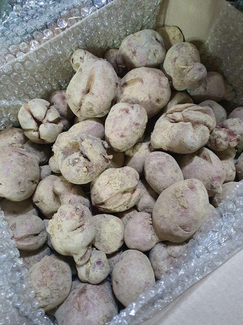 엘림농장님의 장터 구매 후기 썸네일