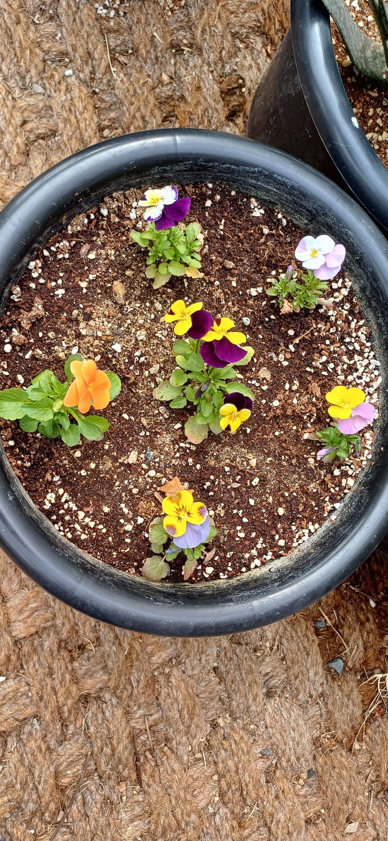 최성득님의 장터 구매 후기 썸네일