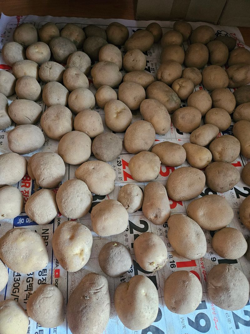 정일선님의 장터 구매 후기 썸네일