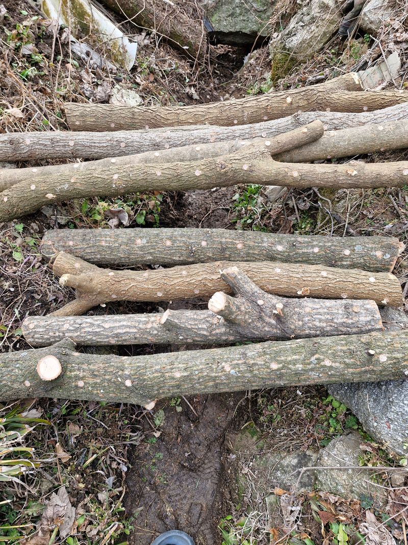 !정의규님의 장터 구매 후기 썸네일