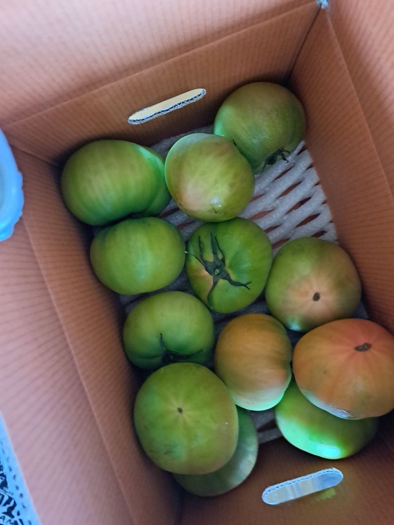 임후남님의 장터 구매 후기 썸네일