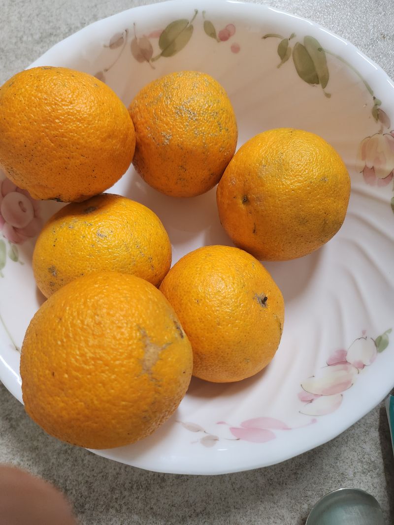 김용제 님의 장터 구매 후기 썸네일