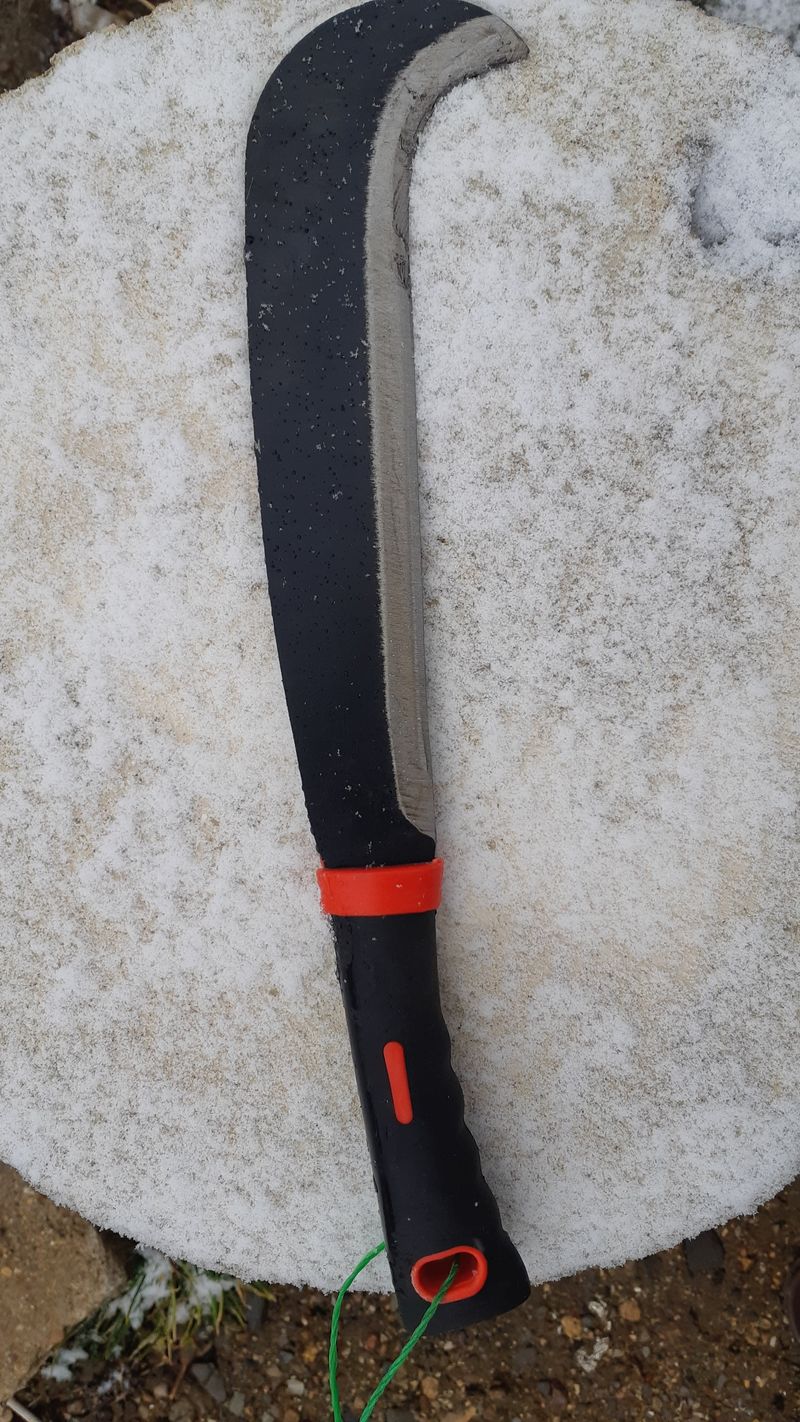 블루베리20703님의 장터 구매 후기 썸네일