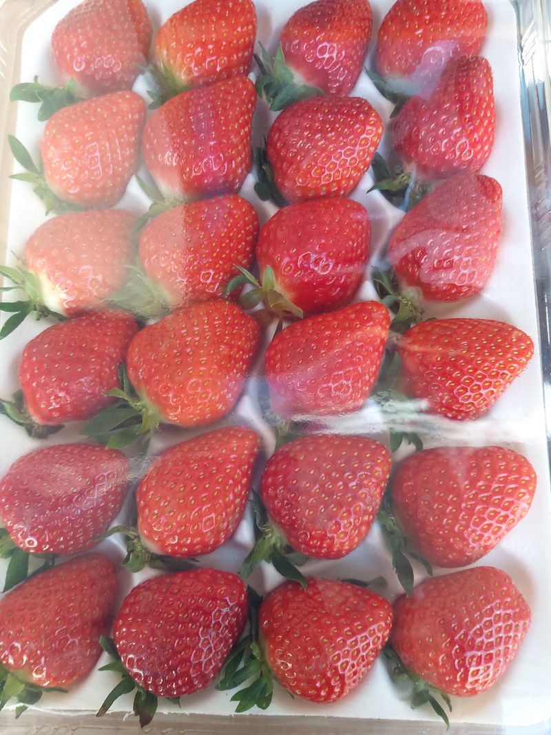 김재영님의 장터 구매 후기 썸네일