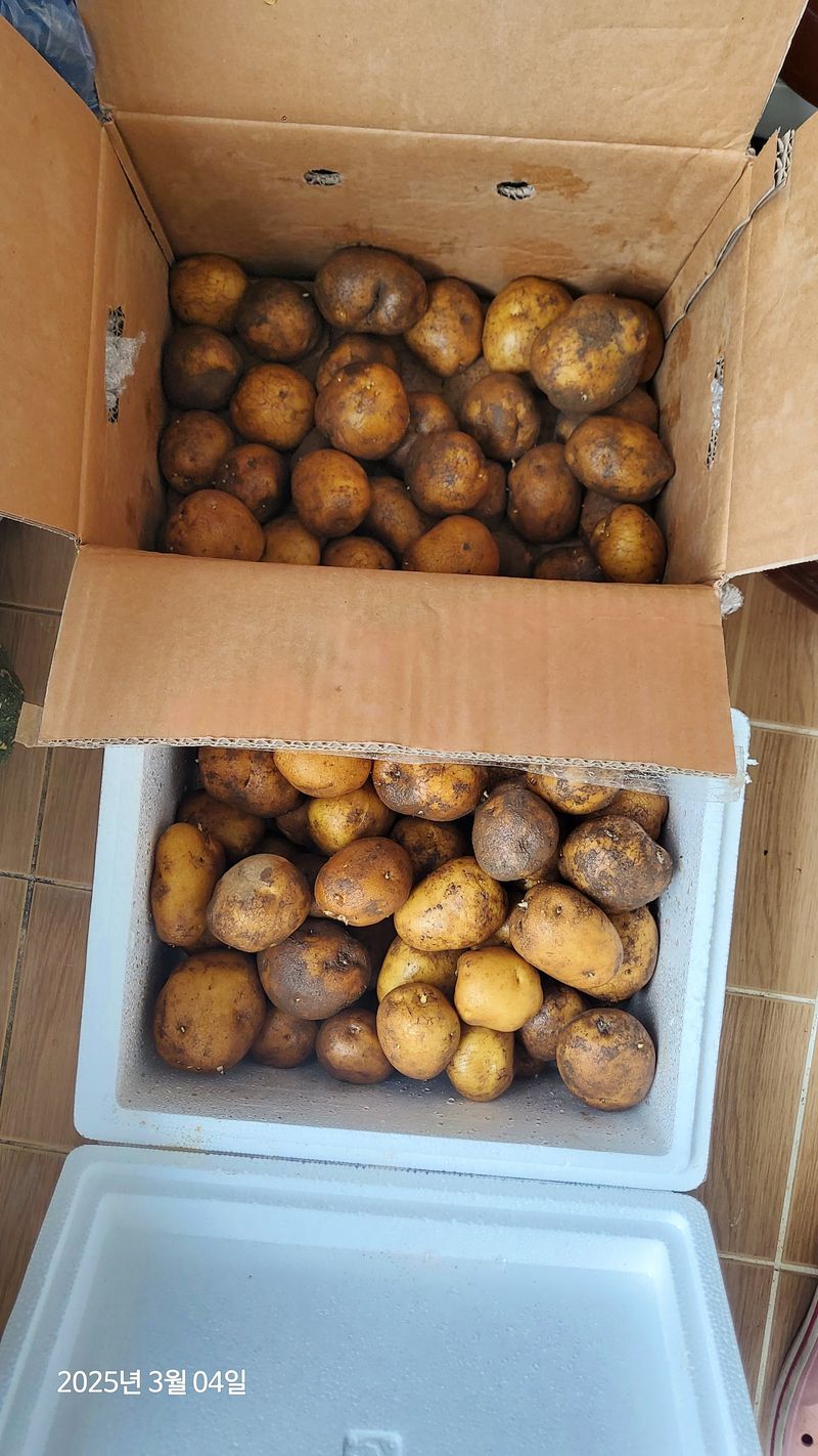 허벌나고님의 장터 구매 후기 썸네일