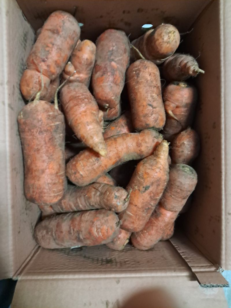 이경숙님의 장터 구매 후기 썸네일