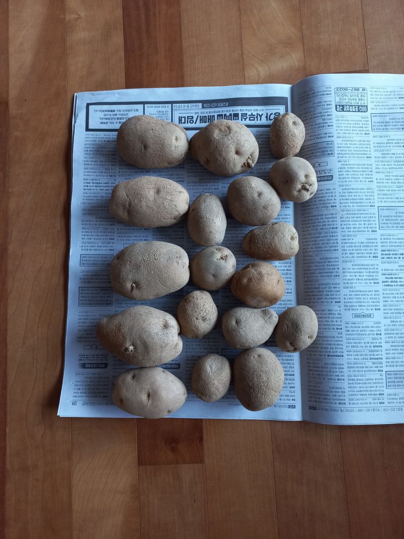 박낙동님의 장터 구매 후기 썸네일