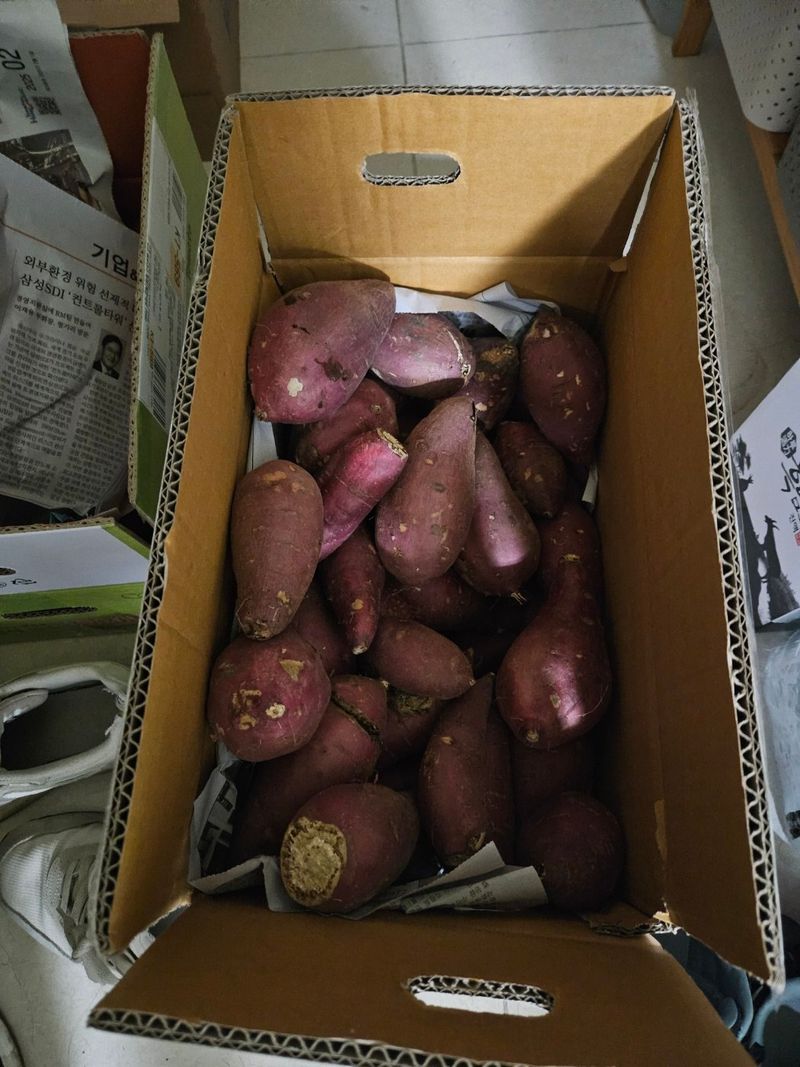 단엽중투호님의 장터 구매 후기 썸네일