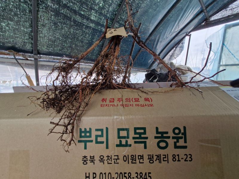 장순봉님의 장터 구매 후기 썸네일