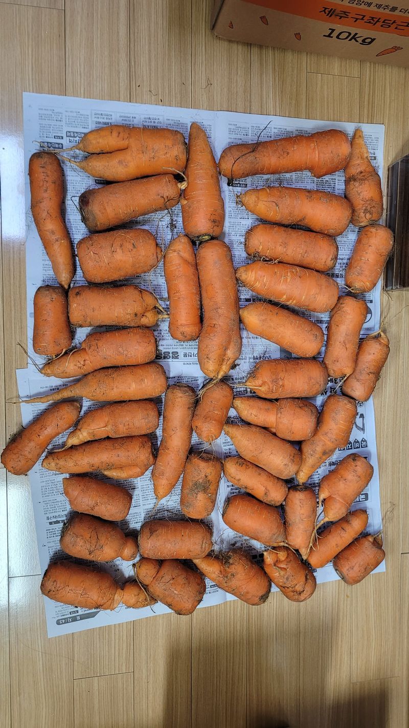 가랑비님의 장터 구매 후기 썸네일