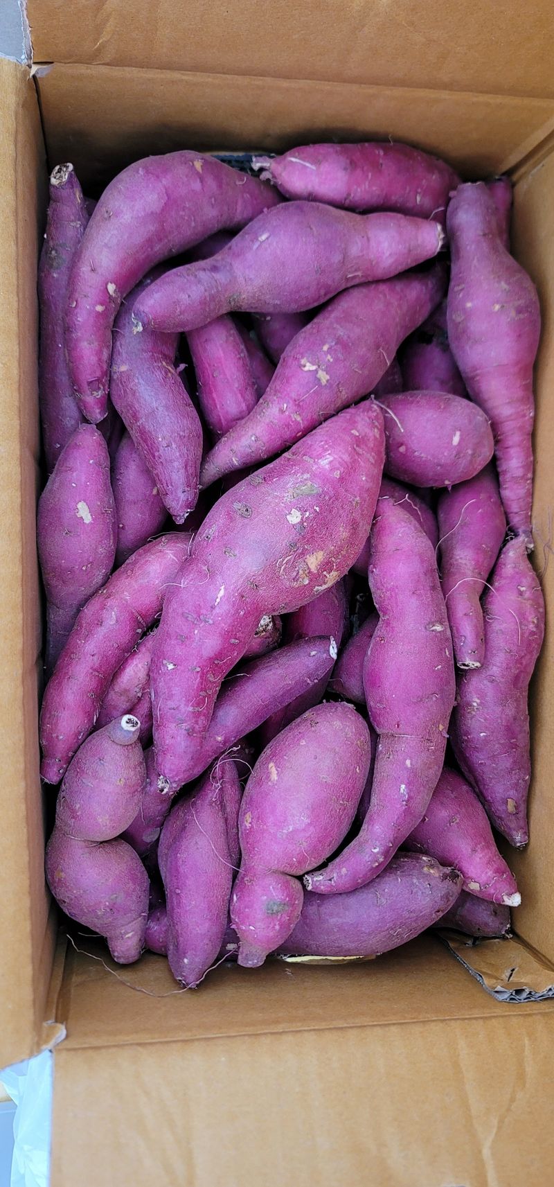 열정님의 장터 구매 후기 썸네일