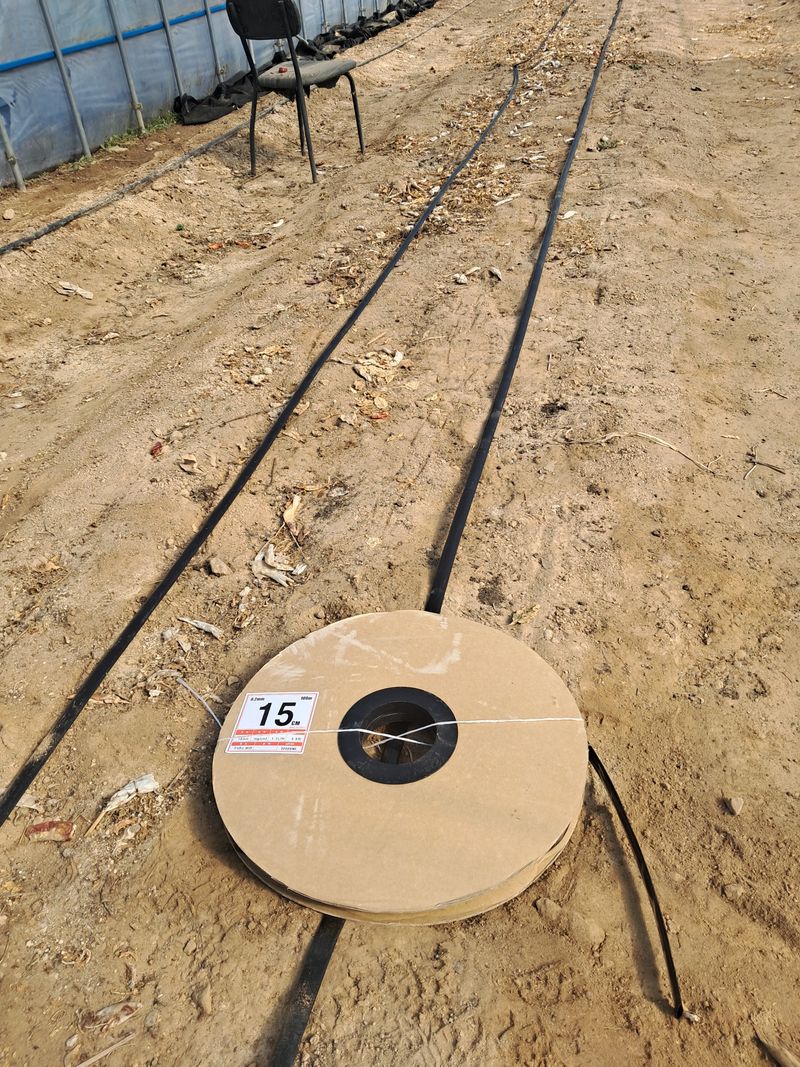 귤14339님의 장터 구매 후기 썸네일