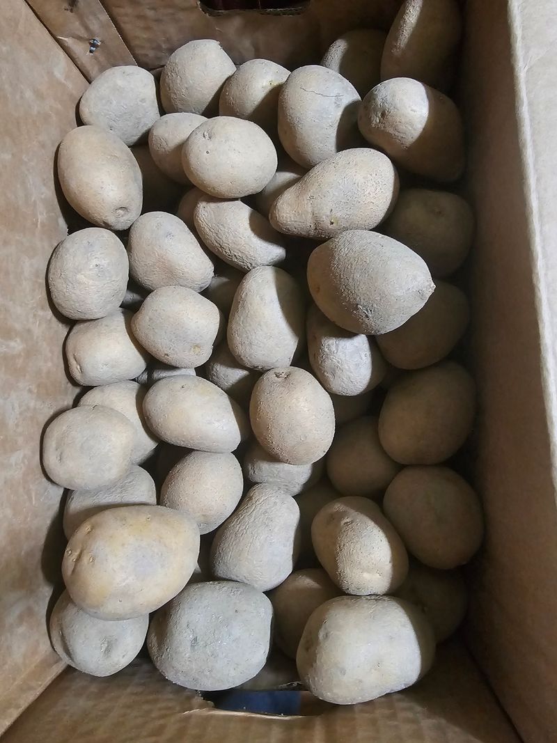 오은택님의 장터 구매 후기 썸네일