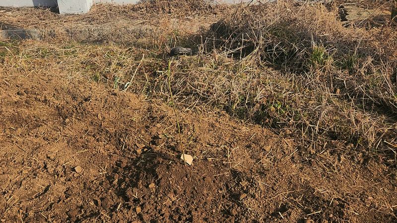 배기석님의 장터 구매 후기 썸네일
