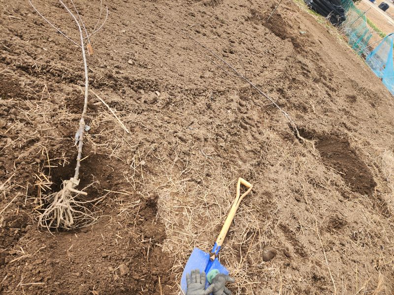 배기석님의 장터 구매 후기 썸네일