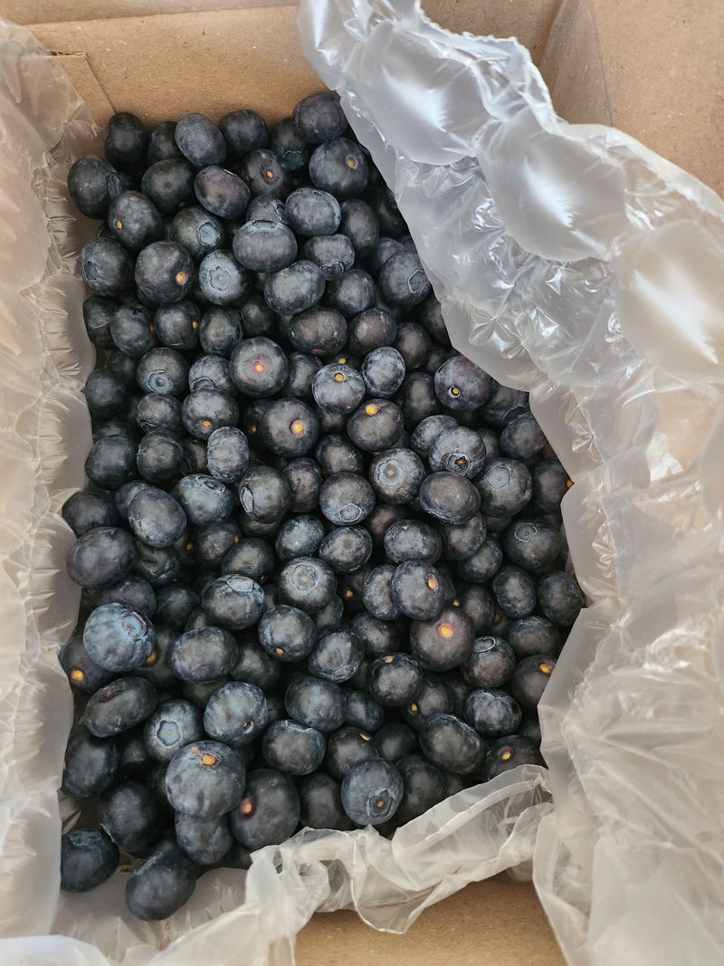 신용호님의 장터 구매 후기 썸네일