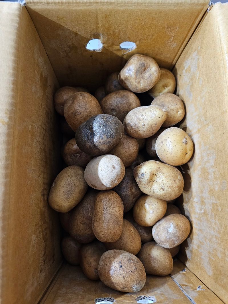 처마밑에추녀님의 장터 구매 후기 썸네일