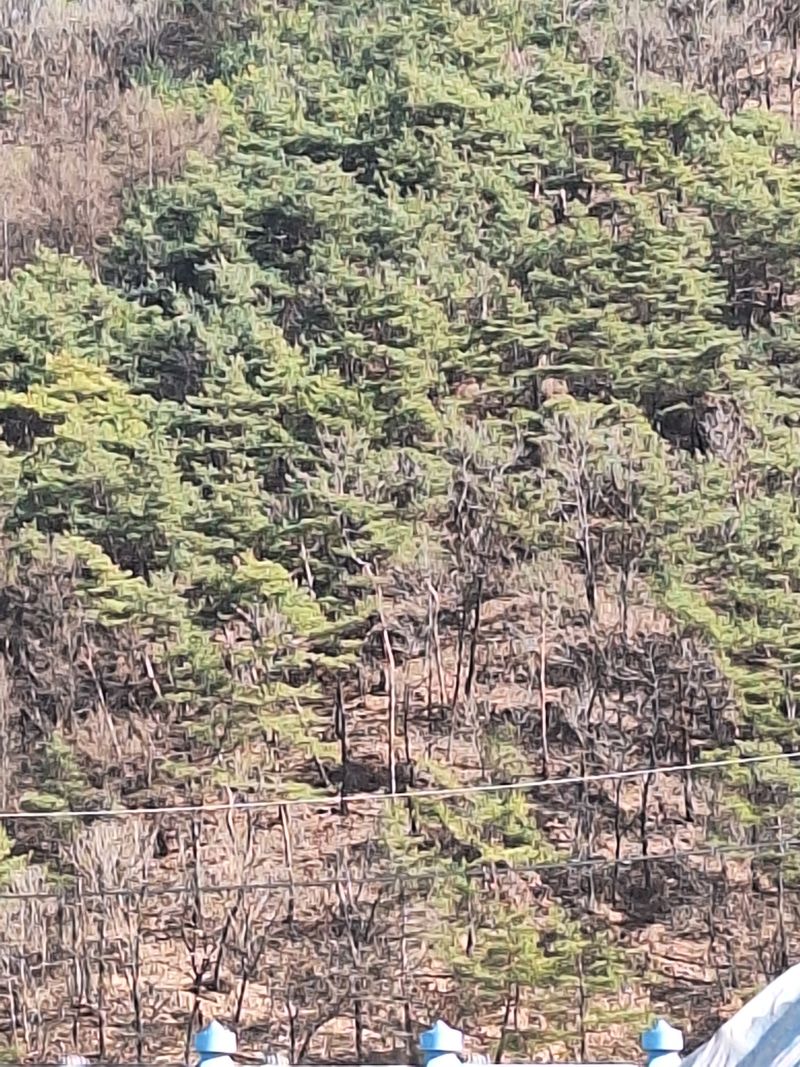 강윤석님의 장터 구매 후기 썸네일