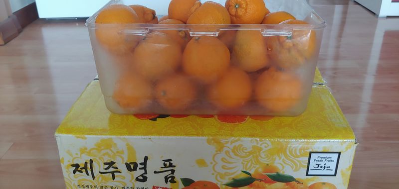 낙엽교목류12784님의 장터 구매 후기 썸네일